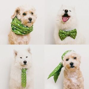 2 Bandanas for Dogs - Earth Rated Dog Bandana, Bowtie, Scarf, etc. - Light Green